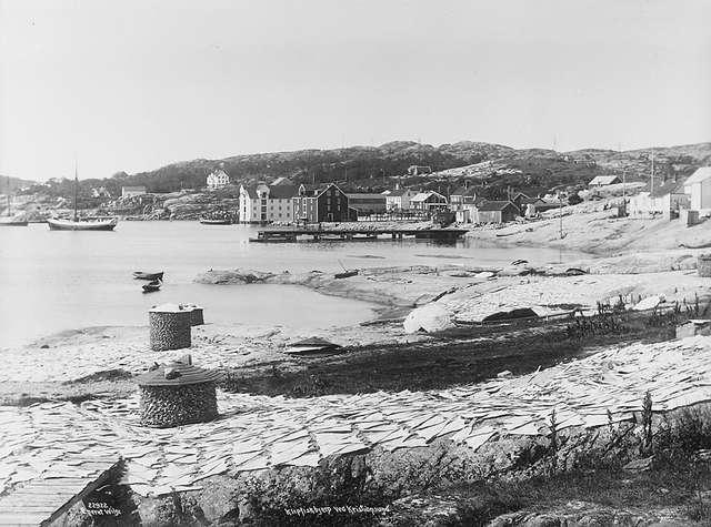 Het drogen van klipvis op de rotsen met zicht op Kristiansund (1922). (Norsk Folkemuseum, foto Anders Beer Wilse)